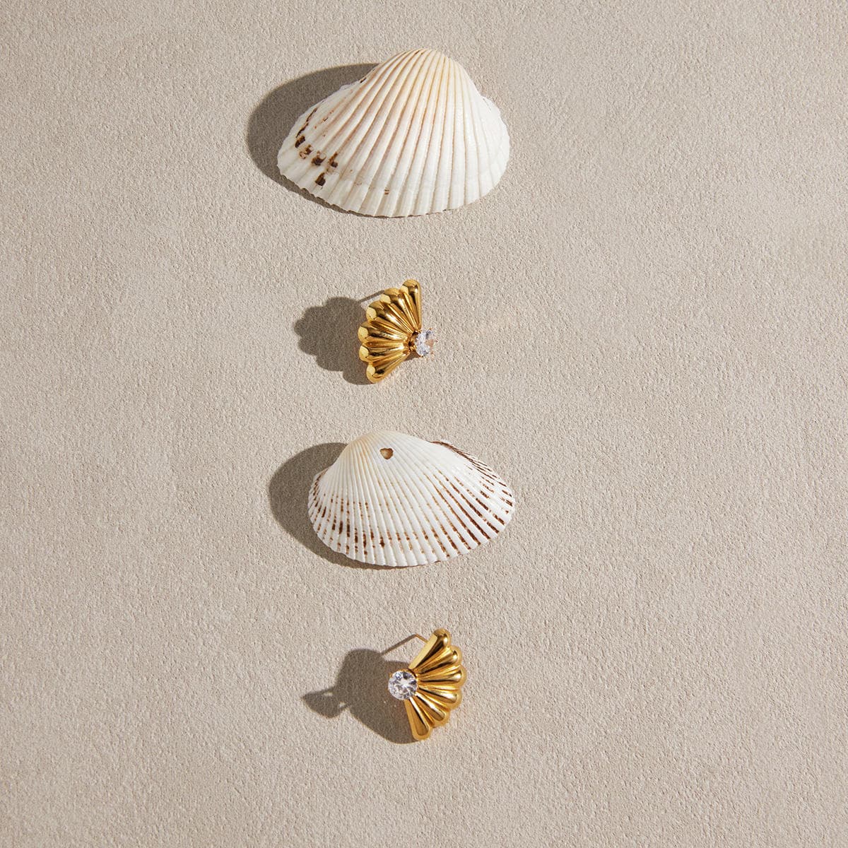 Seashell Stud Earrings 